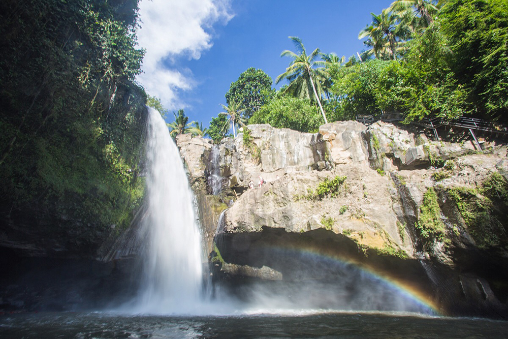 Michele Catena - Indonesia Waterfall