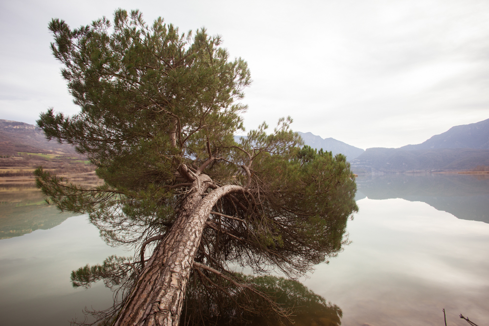 michele catena photography landscape spain lake tree nature