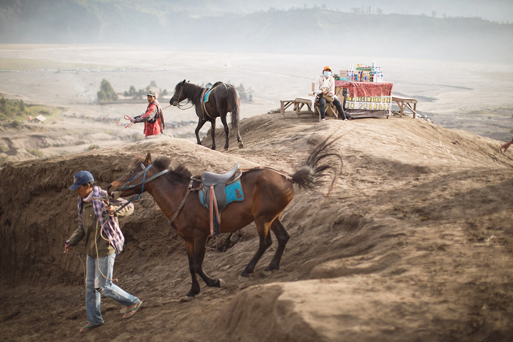 michele catena photography lifestyle Indonesia Bromo Volcano Horses